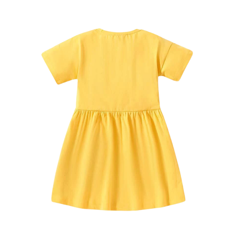 Flower Embroidered Dress